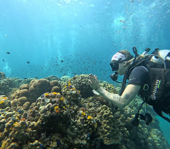 Pura Vida Diving thumb 2
